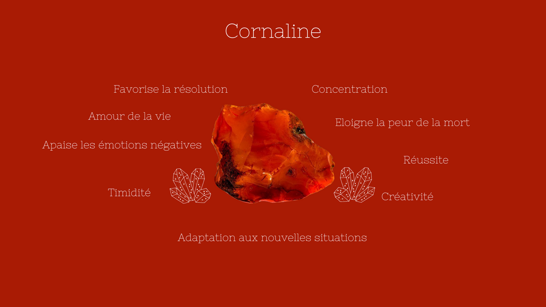 La Cornaline - Isajoyaparis