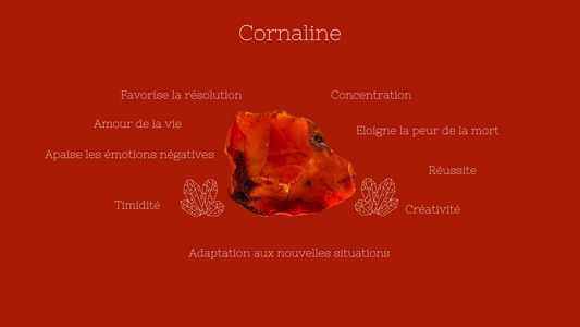 La Cornaline - Isajoyaparis